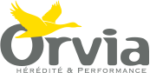 e-formation.orvia.fr