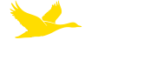 logo_orvia_blanc